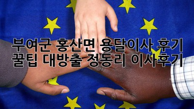 부여군 홍산면 용달이사 후기🚚💨 꿀팁 대방출! #정동리 #이사후기